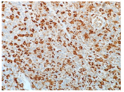 Biomedical Science & Research Biomedical Science & Research