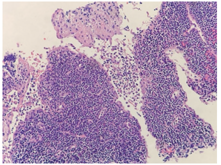 Biomedical Science & Research Biomedical Science & Research