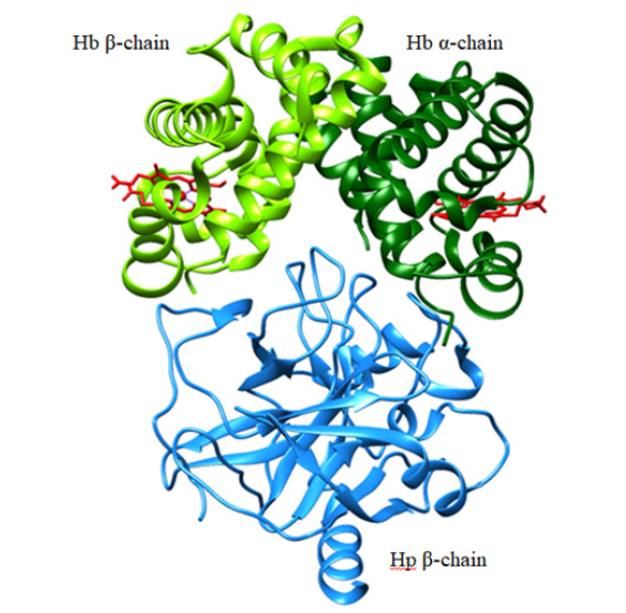 Biomedical Science & Research Biomedical Science & Research