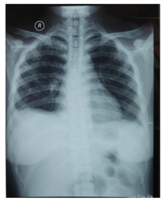 Biomedical Science & Research Biomedical Science & Research