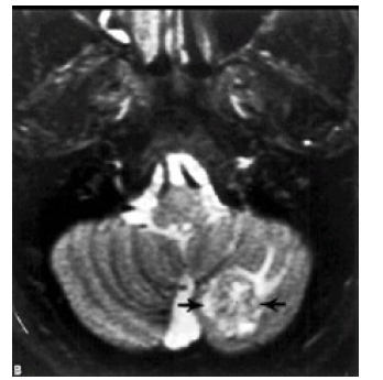Biomedical Science & Research Biomedical Science & Research