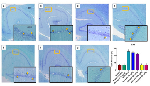 Biomedical Science & Research Biomedical Science & Research