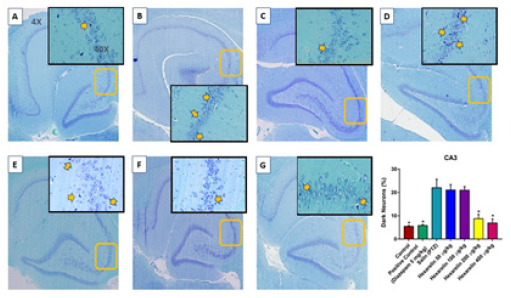 Biomedical Science & Research Biomedical Science & Research