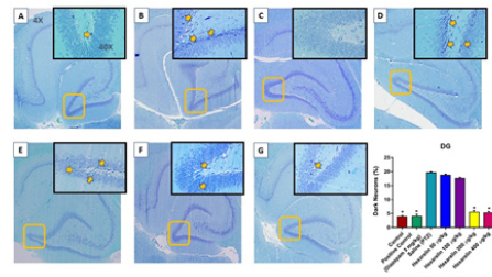 Biomedical Science & Research Biomedical Science & Research