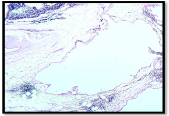 Biomedical Science & Research Biomedical Science & Research