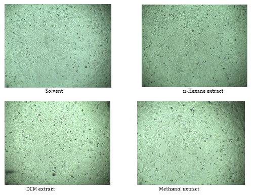 Biomedical Science & Research Biomedical Science & Research