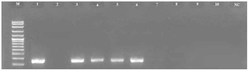 Biomedical Science & Research Biomedical Science & Research