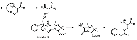 Biomedical Science & Research Biomedical Science & Research
