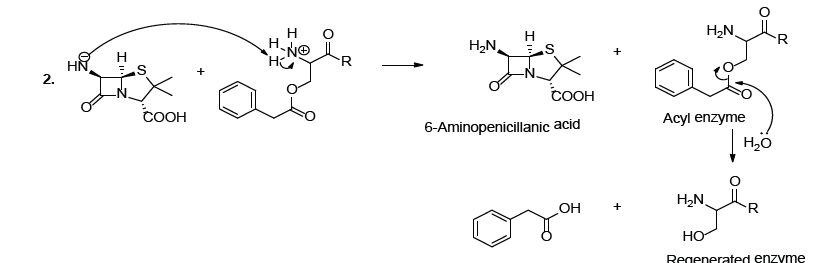 Biomedical Science & Research Biomedical Science & Research