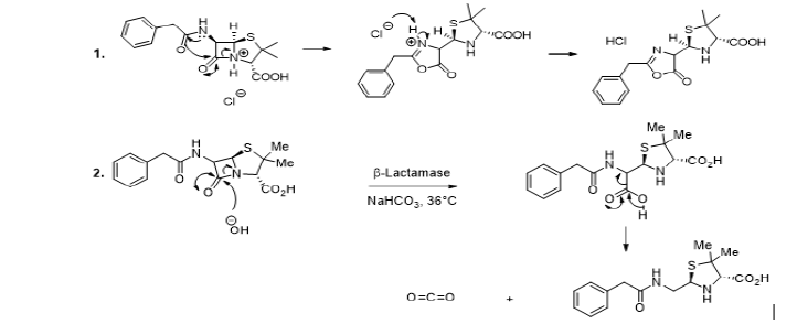 Biomedical Science & Research Biomedical Science & Research