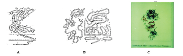 Biomedical Science & Research Biomedical Science & Research