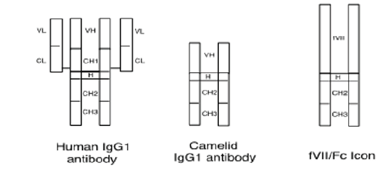 Biomedical Science & Research Biomedical Science & Research