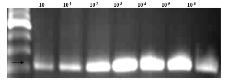 Biomedical Science &, Research Biomedical Science &, Research