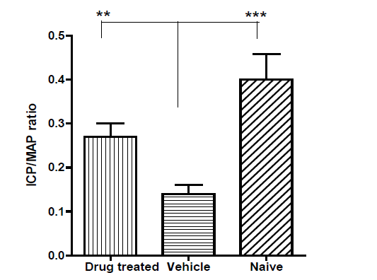 Biomedical Science &, Research Biomedical Science &, Research