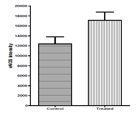 Biomedical Science &, Research Biomedical Science &, Research