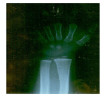 Biomedical Science &, Research Biomedical Science &, Research