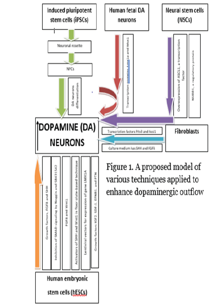 Biomedical Science &, Research Biomedical Science &, Research