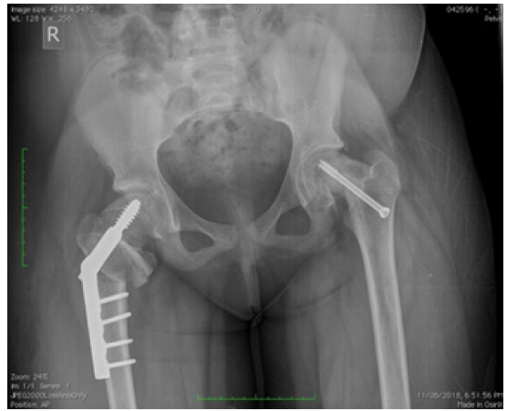 Biomedical Science &, Research Biomedical Science &, Research