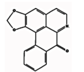 Biomedical Science &, Research Biomedical Science &, Research