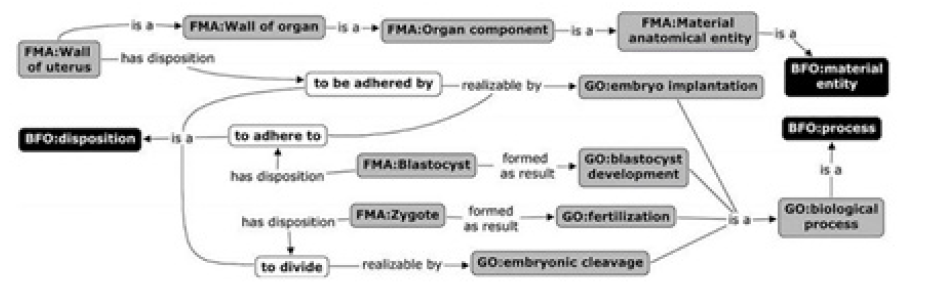 Biomedical Science &, Research Biomedical Science &, Research
