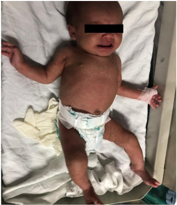 Biomedical Science &, Research Biomedical Science &, Research