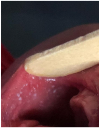 Biomedical Science &, Research Biomedical Science &, Research