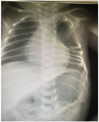 Biomedical Science &, Research Biomedical Science &, Research