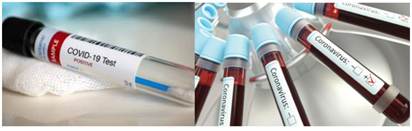 Biomedical Science &, Research Biomedical Science &, Research