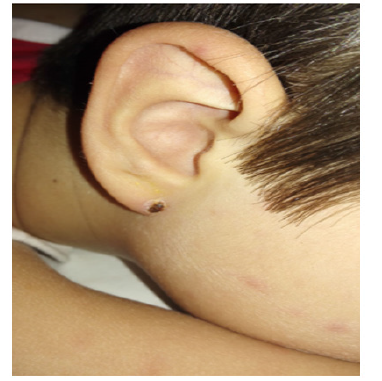 Biomedical Science &, Research Biomedical Science &, Research