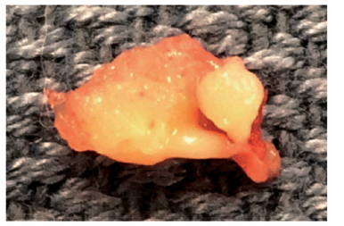 Biomedical Science &, Research Biomedical Science &, Research