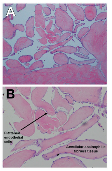 Biomedical Science &, Research Biomedical Science &, Research