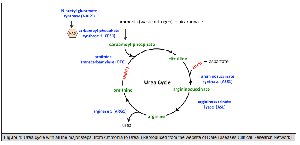 Biomedical Science &, Research Biomedical Science &, Research