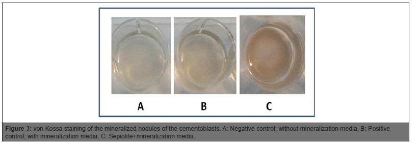 Biomedical Science &, Research Biomedical Science &, Research