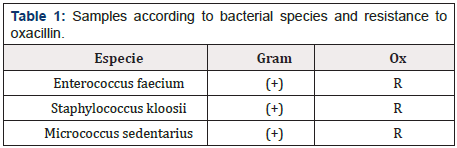 Biomedical Science & Research Biomedical Science & Research